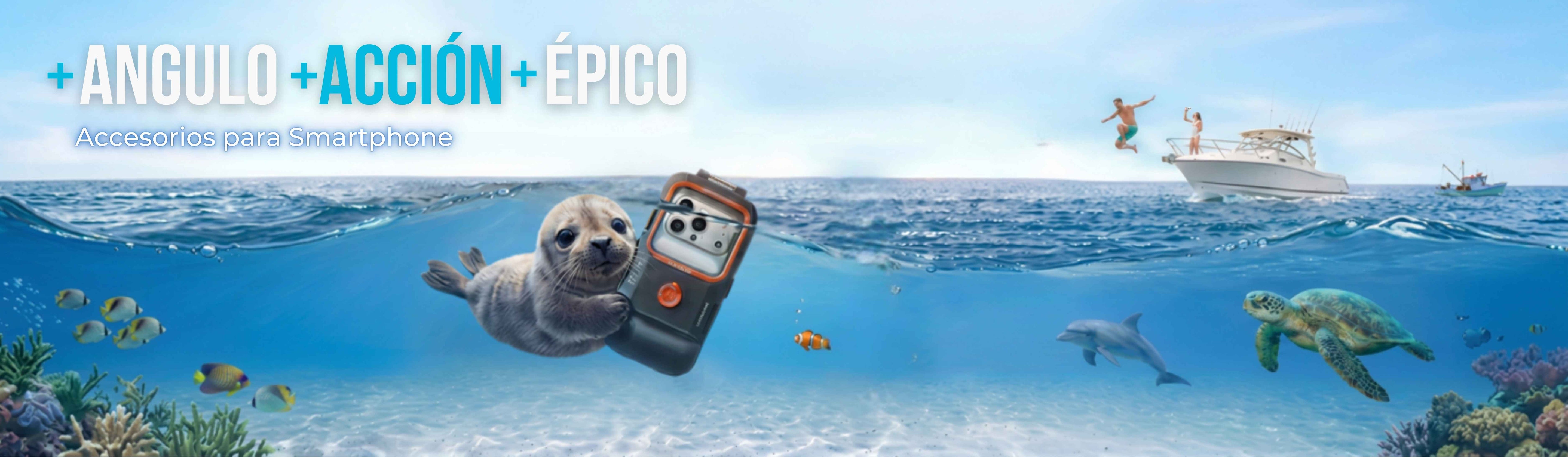 Banner_WEB_2.jpg